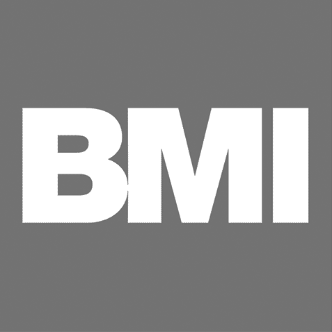 bmi-group-vector-logo greyscale